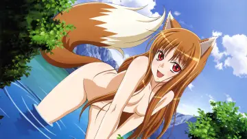 Backdrop for the TV series "Spice and Wolf" #1506268