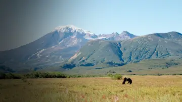Backdrop for the TV series "Wild Russia" #1892104