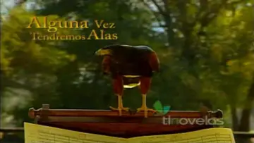 Backdrop for the TV series "Alguna Vez Tendremos Alas" #1599170