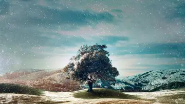 Backdrop к сериалу "Who Do You Think You Are?" #1449293