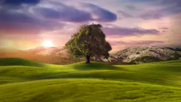 Backdrop к сериалу "Who Do You Think You Are?" #1449294
