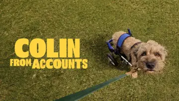 Backdrop к сериалу "Colin from Accounts" #1225205