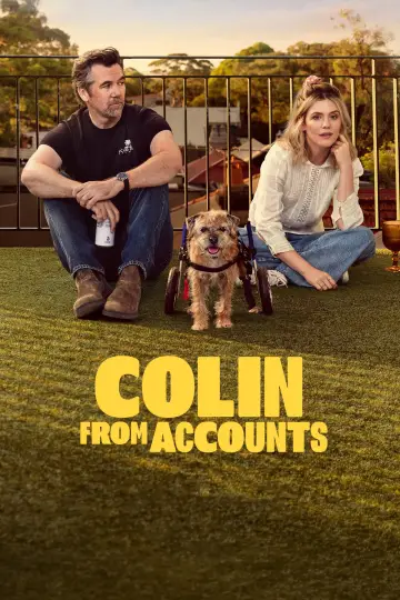 Poster for the TV series "Colin from Accounts" #1534756