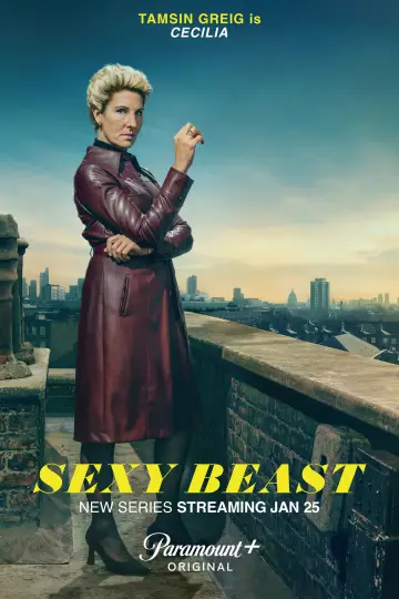 Poster for the TV series "Sexy Beast" #1793156
