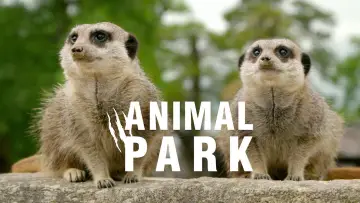 Backdrop for the TV series "Animal Park" #1342979