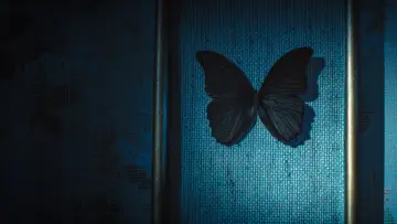 Backdrop for the TV series "Black Butterflies" #1556018