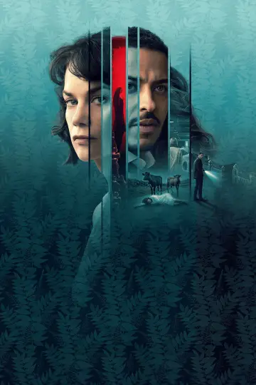 Poster for the TV series "The Woman in the Wall" #1817119