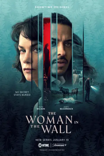 Poster for the TV series "The Woman in the Wall" #1817123