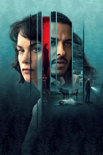 Poster for the TV series "The Woman in the Wall" #1817124