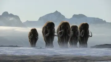 Backdrop for the TV series "Life on Our Planet" #1446525