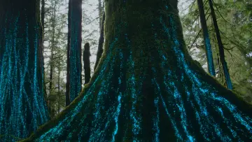 Backdrop for the TV series "Our Living World" #1821134