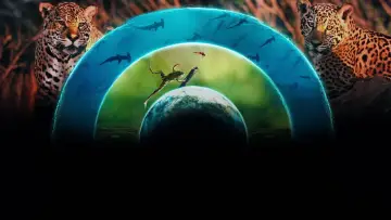 Backdrop for the TV series "Our Living World" #1821135