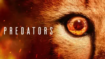 Backdrop for the TV series "Predators" #1888904