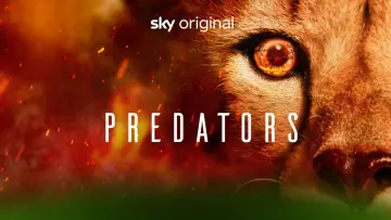 Backdrop for the TV series "Predators" #1888908