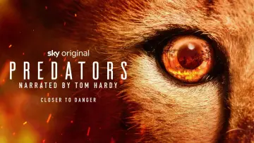 Backdrop for the TV series "Predators" #1888909