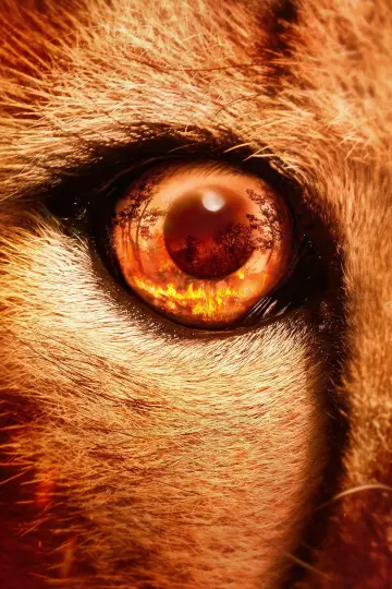 Poster for the TV series "Predators" #1888921