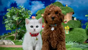 Backdrop for the TV series "Mittens & Pants" #1434730