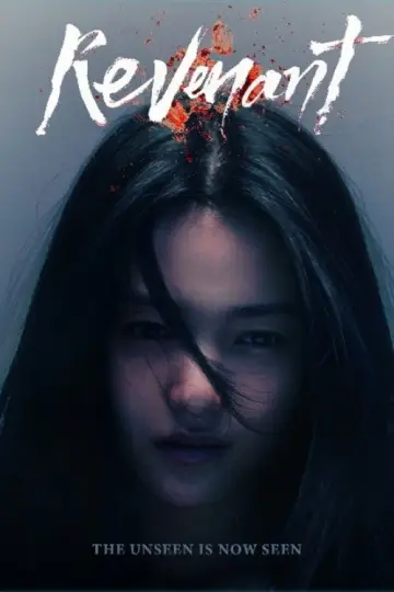 Poster for the TV series "Revenant" #1850058