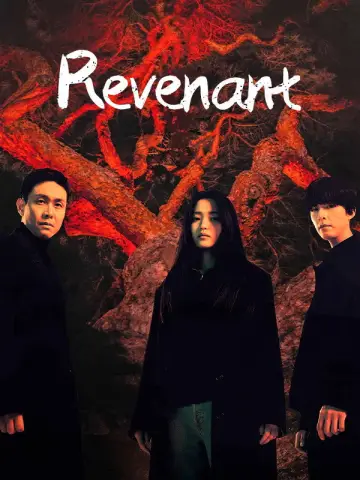 Poster for the TV series "Revenant" #1850059