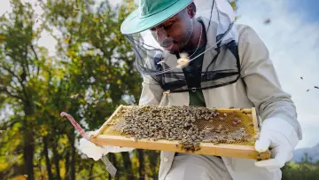 Backdrop for the TV series "Secrets of the Bees" #1481075