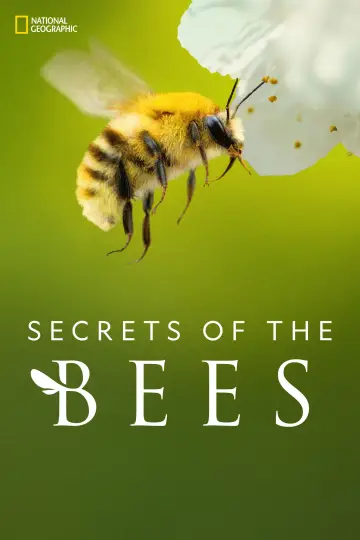 Poster for the TV series "Secrets of the Bees" #1481084
