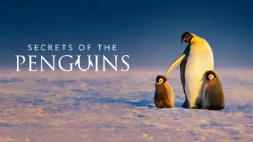 Backdrop for the TV series "Secrets of the Penguins" #1502008