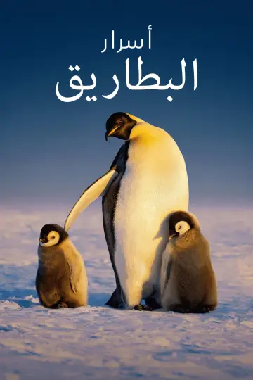 Poster for the TV series "Secrets of the Penguins" #1502040