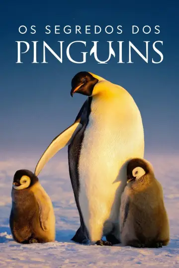 Poster for the TV series "Secrets of the Penguins" #1502041
