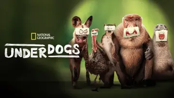 Backdrop for the TV series "Underdogs" #1603629