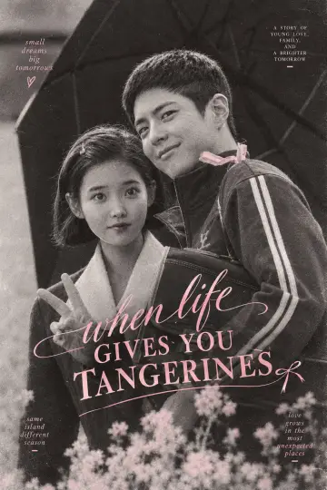 Poster for the TV series "When Life Gives You Tangerines" #1784223