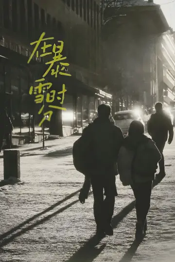 Poster for the TV series "Amidst a Snowstorm of Love" #1594046