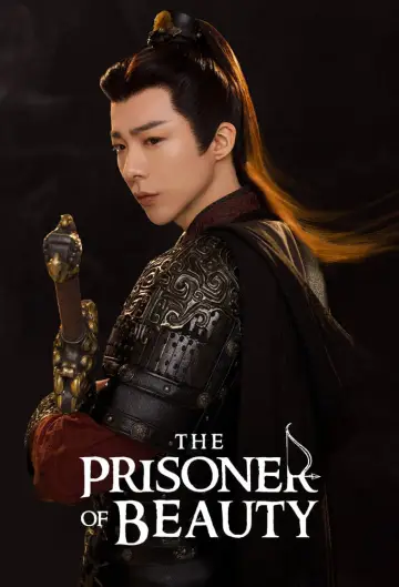 Poster for the TV series "The Prisoner of Beauty" #1395857