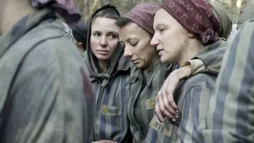 Backdrop for the TV series "The Tattooist of Auschwitz" #1849916