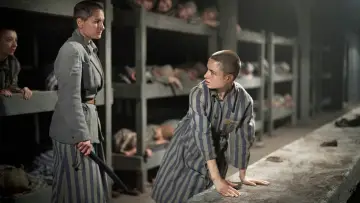 Backdrop for the TV series "The Tattooist of Auschwitz" #1849921