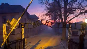 Backdrop for the TV series "The Tattooist of Auschwitz" #1849928