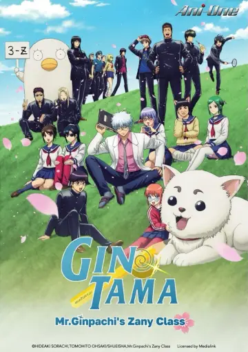 Poster for the TV series "GINTAMA - Mr. Ginpachi
