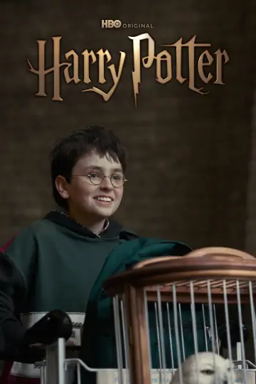 Poster for the TV series "Harry Potter" #1450244