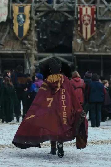 Poster for the TV series "Harry Potter" #1588858