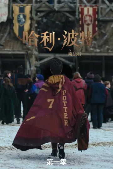 Poster for the TV series "Harry Potter" #1662232