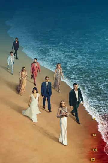 Poster for the TV series "The Perfect Couple" #1448886