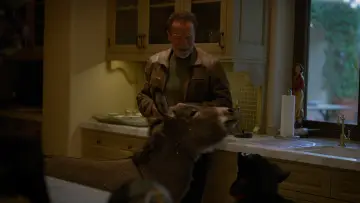 Backdrop к сериалу "Arnold" #1459420