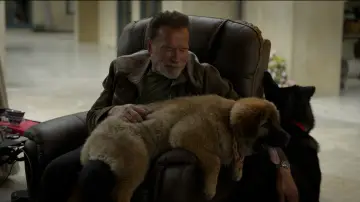Backdrop к сериалу "Arnold" #1459422