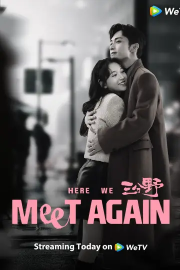 Poster for the TV series "Here We Meet Again" #1842785