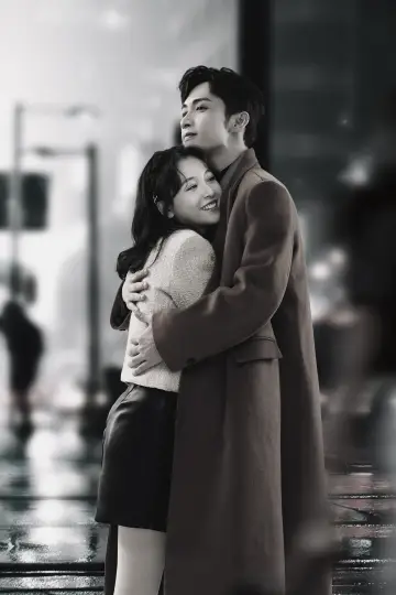 Poster for the TV series "Here We Meet Again" #1842787