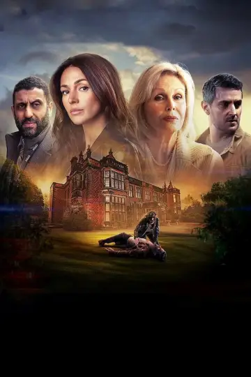 Poster for the TV series "Fool Me Once" #1732114