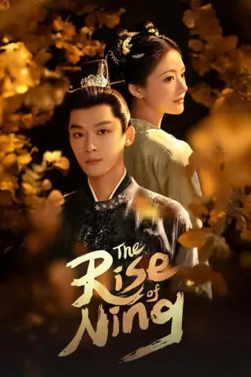 The Rise of Ning Poster
