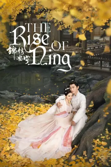 Poster for the TV series "The Rise of Ning" #1539409