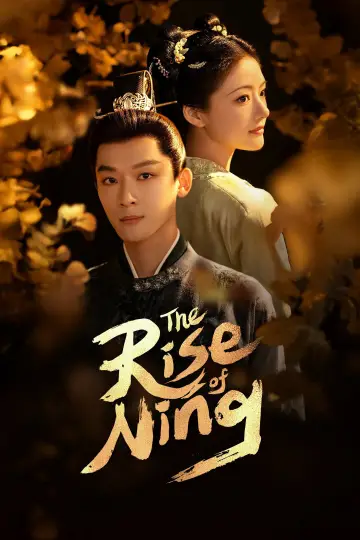Poster for the TV series "The Rise of Ning" #1539411