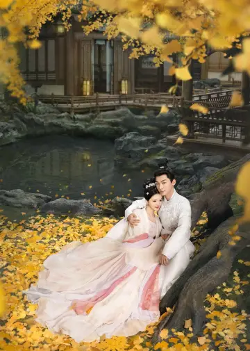 Poster for the TV series "The Rise of Ning" #1539412