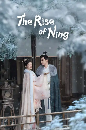 Poster for the TV series "The Rise of Ning" #1539414